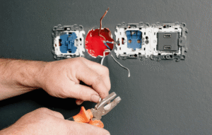 Electrically Instructed Person